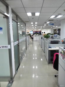 從筆試到入職 前臺登記與看準(zhǔn)網(wǎng)在互聯(lián)網(wǎng)信息服務(wù)中的角色